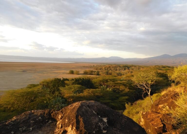 15971589-view-of-lake-eyasi