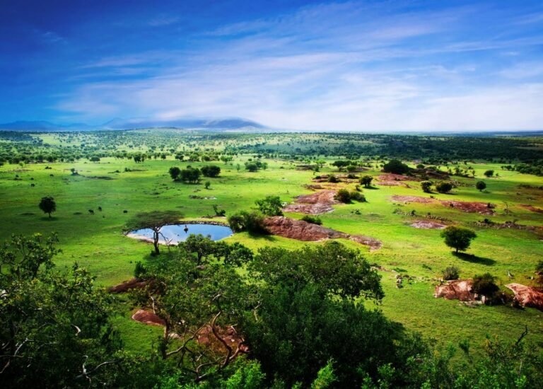 Serengeti-National-Park-1024x733