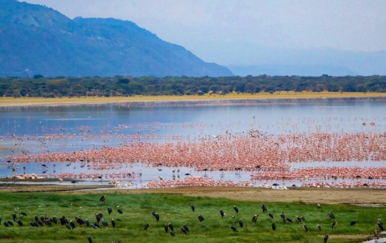 lake-manyara-1-1110x700